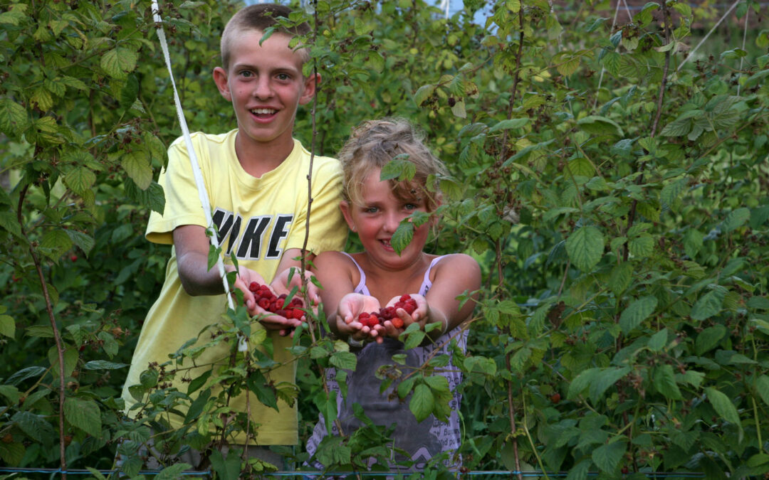 2025… in Bosnia ed Erzegovina