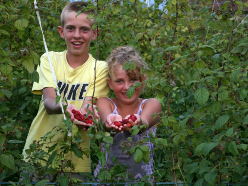 2025… in Bosnia ed Erzegovina